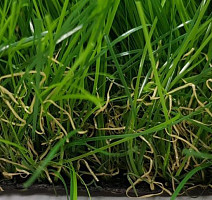 Тропикана 50мм